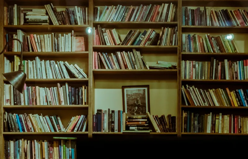 Admission, Not Acquisition: The American Archives Where a Yearly Fee Buys You the Unbuyable