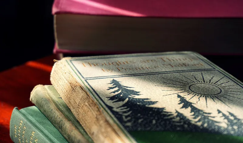 Half-Birthday Hype: When Every Milestone Becomes an Excuse to Sell You the Same Book Again