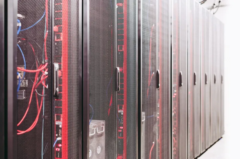 Ownership on Borrowed Servers: The Collectors Gambling on Files That May Not Survive the Decade